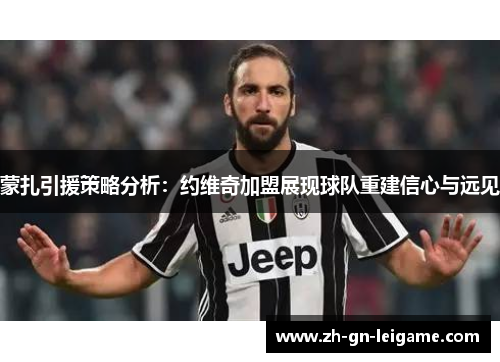 蒙扎引援策略分析：约维奇加盟展现球队重建信心与远见