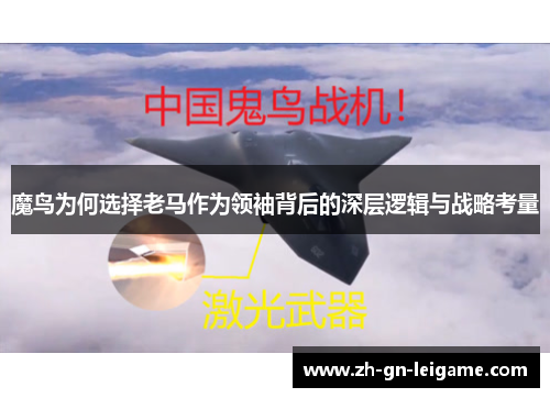 魔鸟为何选择老马作为领袖背后的深层逻辑与战略考量