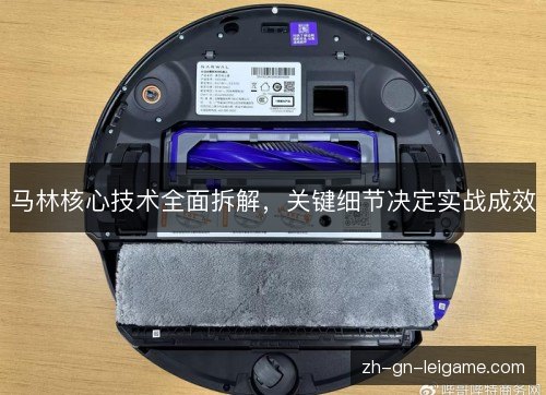 马林核心技术全面拆解,关键细节决定实战成效 马林核心技术全面拆解,关键细节决定实战成效